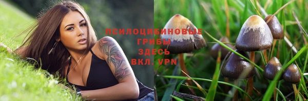 дживик Заводоуковск