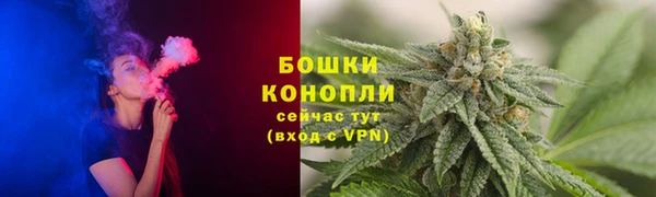 a pvp Губаха