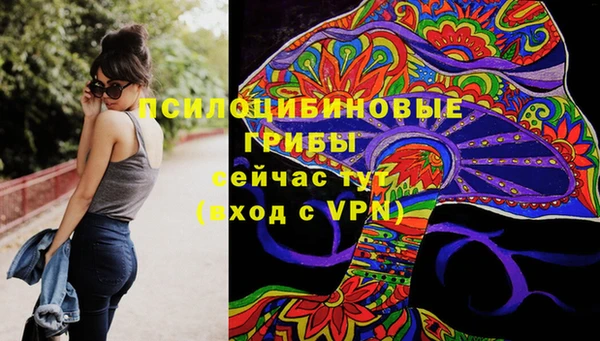 дживик Заводоуковск