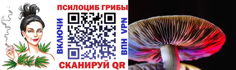 mega ссылка купить закладку Знаменск Галлюциногенные грибы прущие грибы